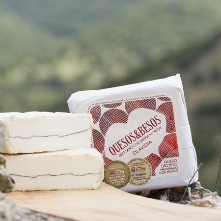 QUESO OLAVIDIA COAGULACIÓN LÁCTICA ''QUESOS Y BESOS''